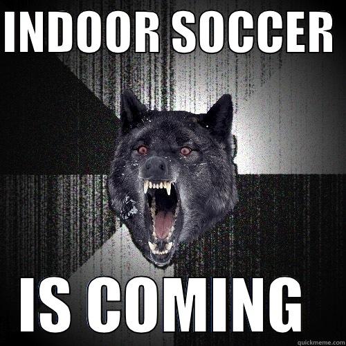 INDOOR SOCCER  IS COMING  Insanity Wolf