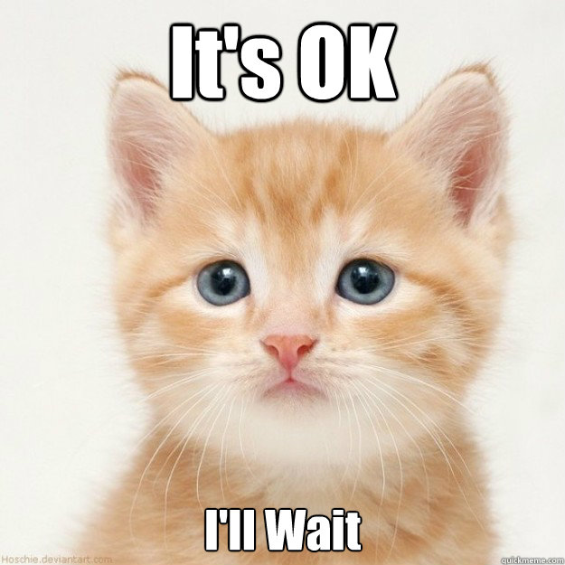 It's OK I'll Wait - It's OK I'll Wait  Adorably Infected Kitten