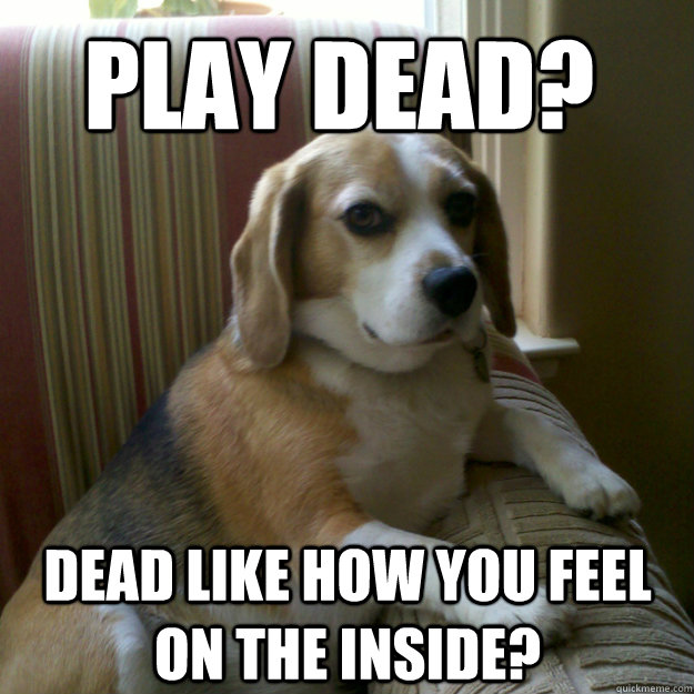 Play dead? Dead like how you feel on the inside?  judgmental dog