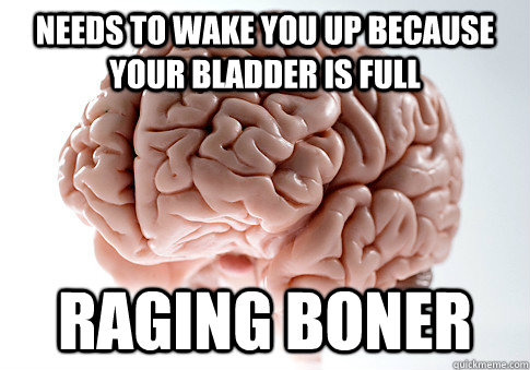 needs to wake you up because your bladder is full raging boner  Scumbag Brain