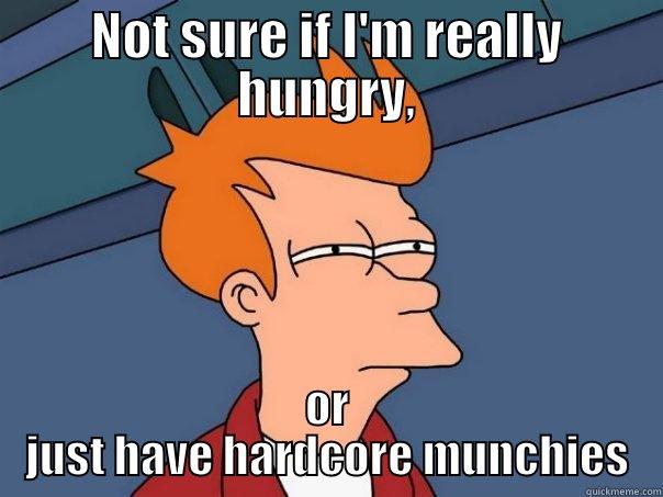 NOT SURE IF I'M REALLY HUNGRY, OR JUST HAVE HARDCORE MUNCHIES Futurama Fry
