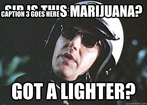 SIR IS THIS MARIJUANA? GOT A LIGHTER? Caption 3 goes here - SIR IS THIS MARIJUANA? GOT A LIGHTER? Caption 3 goes here  Awesome Cop