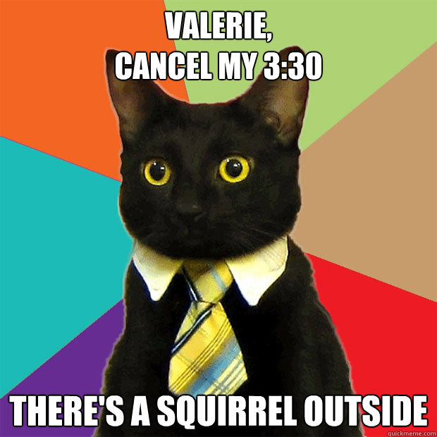 Valerie,
cancel my 3:30  there's a squirrel outside  Business Cat