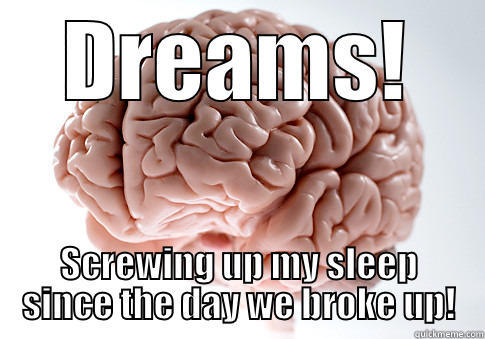 DREAMS! SCREWING UP MY SLEEP SINCE THE DAY WE BROKE UP! Scumbag Brain