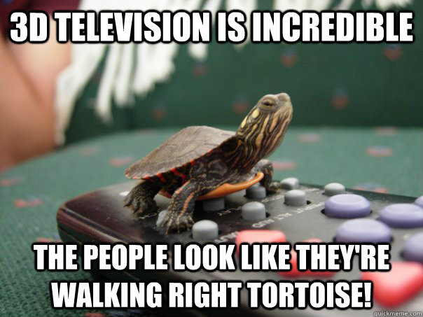 3d television is incredible the people look like they're walking right tortoise!  