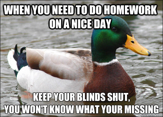 When you need to do homework on a nice day Keep your blinds shut,
you won't know what your missing  Actual Advice Mallard