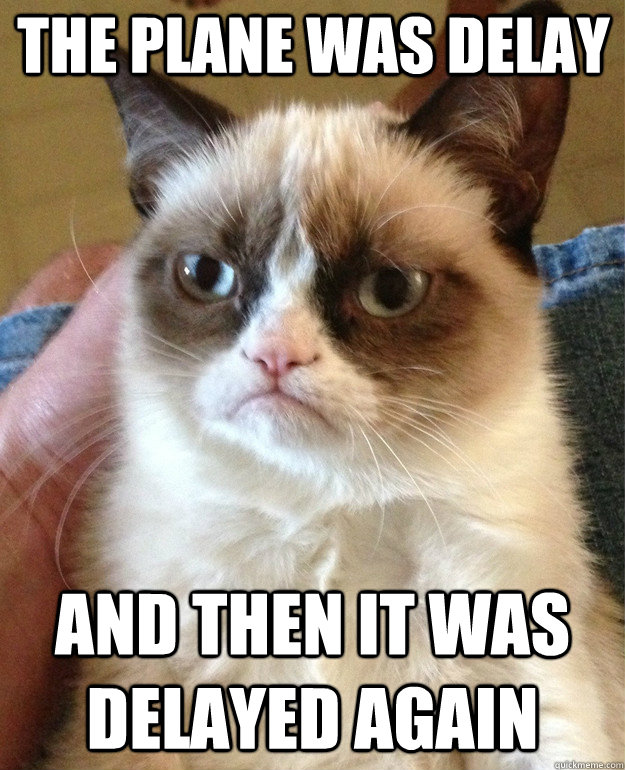 the plane was delay and then it was delayed again - the plane was delay and then it was delayed again  Grumpy Cat
