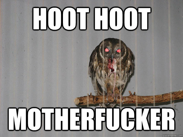 HOOT HOOT MOTHERFUCKER  Bloodthirsty Owl