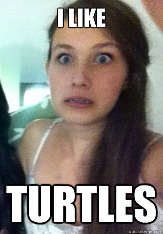 I like turtles  