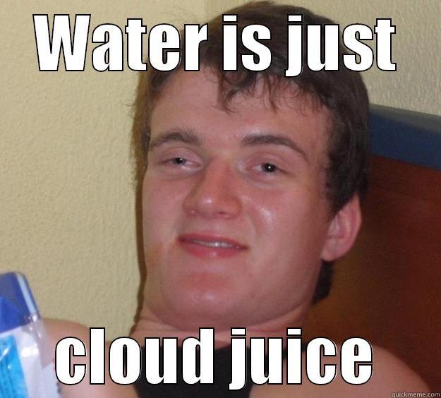 WATER IS JUST CLOUD JUICE 10 Guy