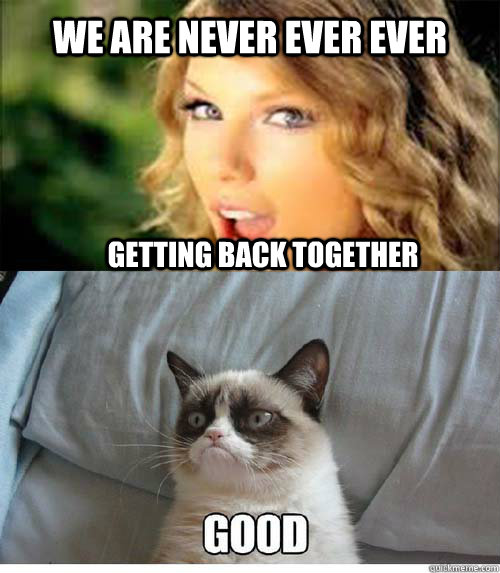 We are never ever ever Getting back together  Taylor Swift Cat meme
