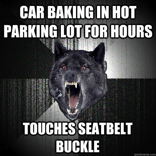 car baking in hot parking lot for hours touches seatbelt buckle  Insanity Wolf