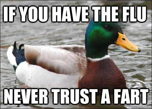 If you have the flu never trust a fart  Actual Advice Mallard