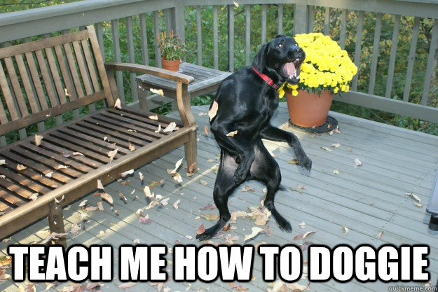  teach me how to doggie -  teach me how to doggie  Misc
