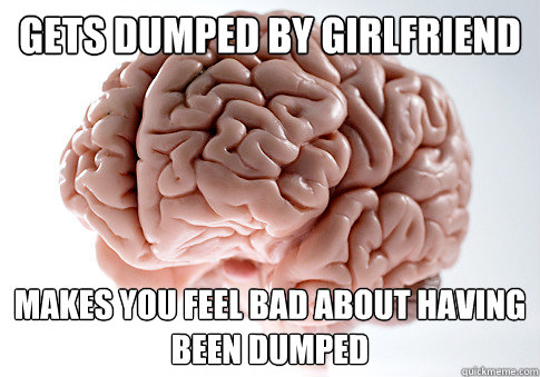 Gets dumped by girlfriend Makes YOU feel bad about having been dumped  Scumbag Brain