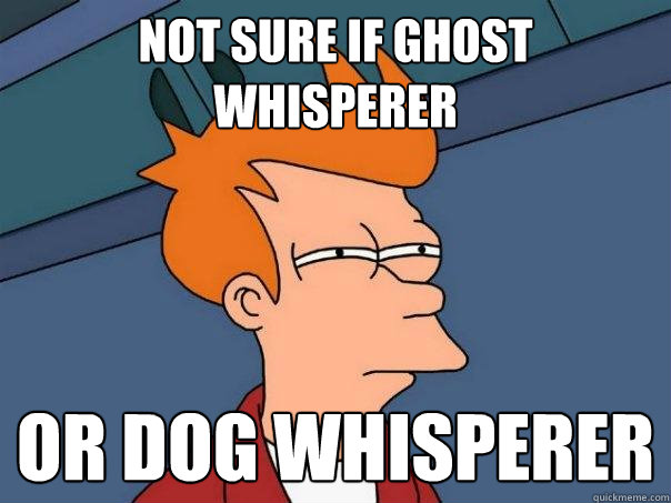 not sure if Ghost whisperer Or Dog whisperer - not sure if Ghost whisperer Or Dog whisperer  Futurama Fry