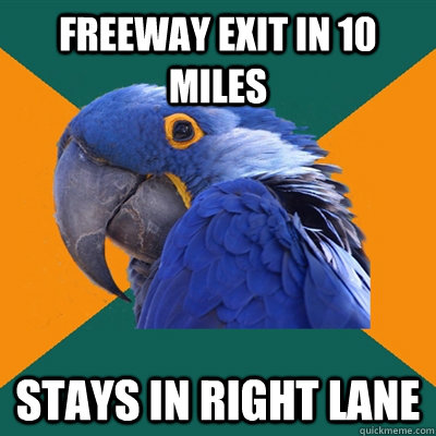 Freeway Exit in 10 Miles Stays in Right Lane  Paranoid Parrot