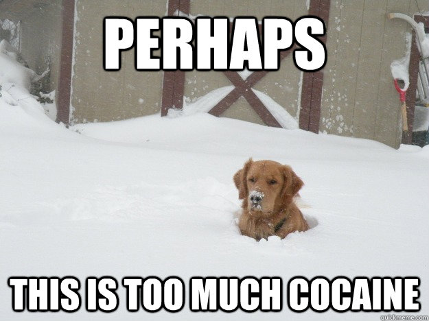Perhaps this is too much cocaine - Perhaps this is too much cocaine  Perhaps dog