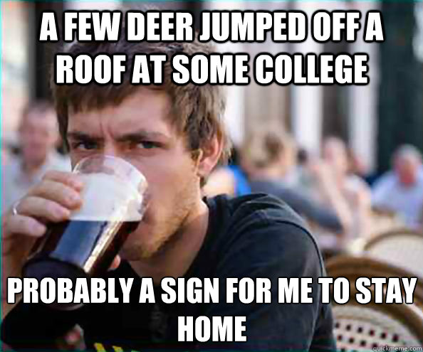 a few deer jumped off a roof at some college probably a sign for me to stay home  Lazy College Senior