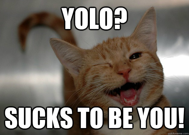 YOLO? SUCKS TO BE YOU!  Sarcastic Cat