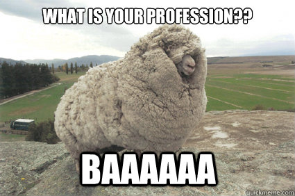 What is your profession?? Baaaaaa  Shrek the Sheep