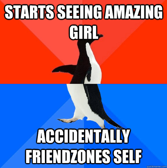 Starts seeing amazing girl Accidentally friendzones self  Socially Awesome Awkward Penguin