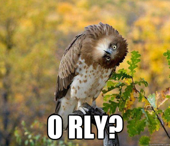  O Rly? -  O Rly?  Boggle Bird