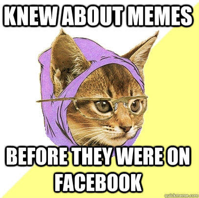 knew about memes before they were on facebook - knew about memes before they were on facebook  Hipster Kitty