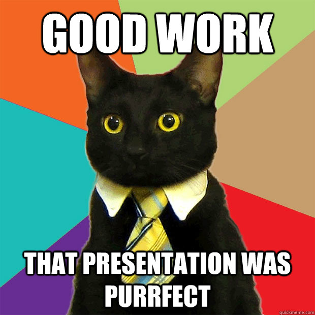 good work that presentation was purrfect  Business Cat