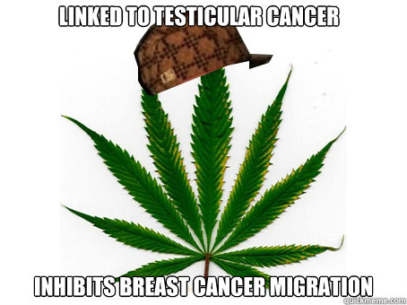linked to testicular cancer inhibits breast cancer migration - linked to testicular cancer inhibits breast cancer migration  Scumbag Marijuana