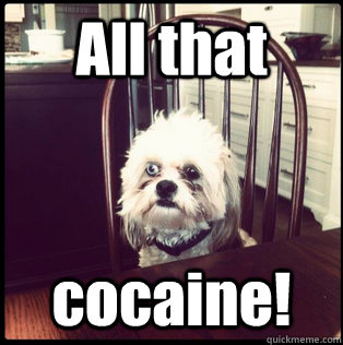 All that cocaine!  Life Hardened Dog