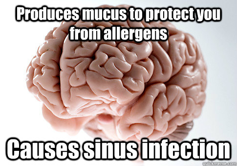 Produces mucus to protect you from allergens  Causes sinus infection   - Produces mucus to protect you from allergens  Causes sinus infection    Scumbag Brain