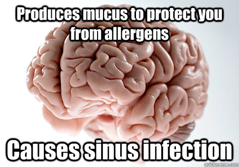 Produces mucus to protect you from allergens  Causes sinus infection    Scumbag Brain