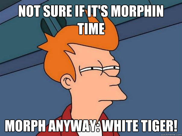 not sure if it's Morphin Time Morph anyway: White Tiger!   Futurama Fry