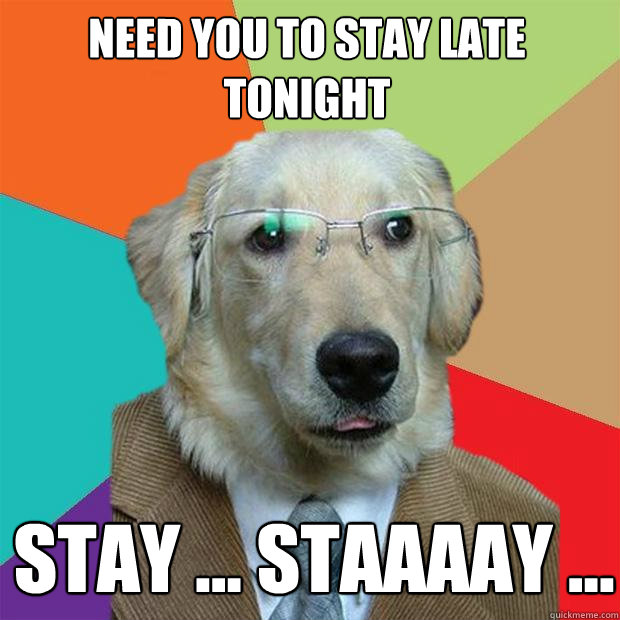 Need you to stay late tonight Stay ... staaaay ...  Business Dog