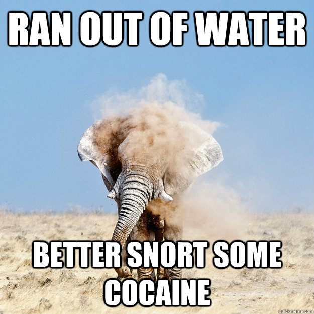 Ran out of water Better snort some Cocaine  - Ran out of water Better snort some Cocaine   Misc