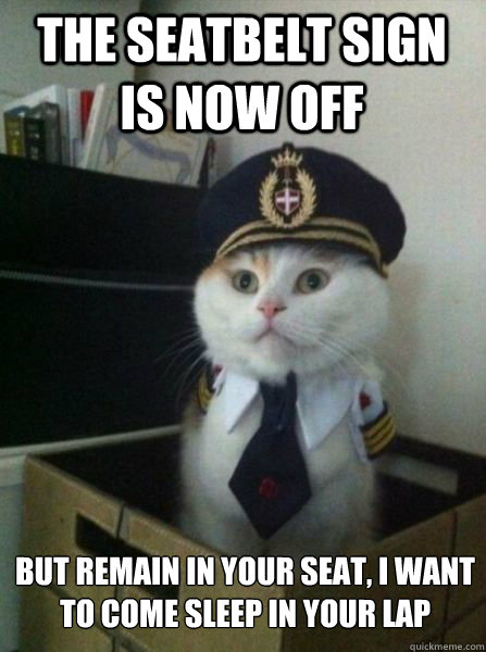 the seatbelt sign is now off but remain in your seat, I want to come sleep in your lap  Captain kitteh