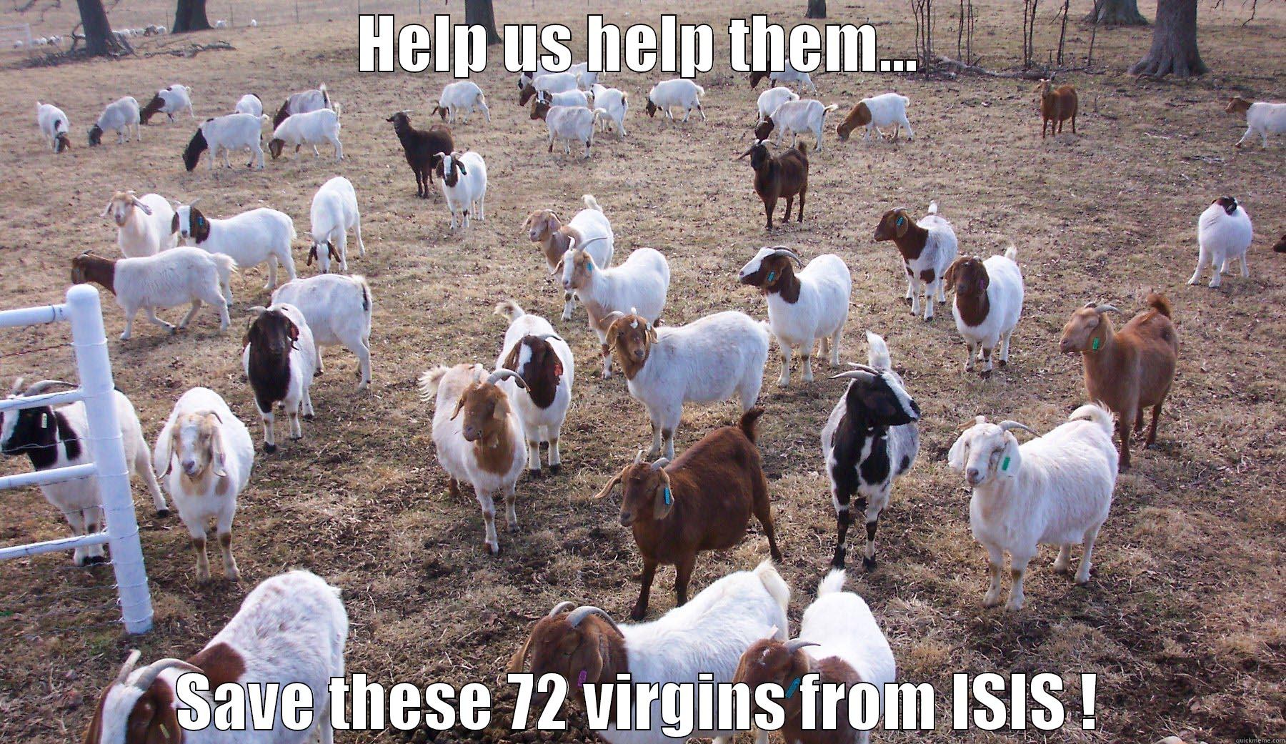 Give freely - HELP US HELP THEM... SAVE THESE 72 VIRGINS FROM ISIS ! Misc