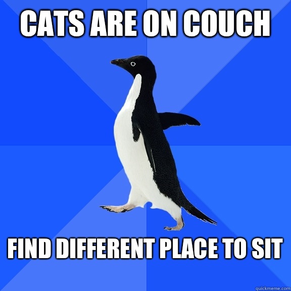 Cats are on couch  Find different place to sit   Socially Awkward Penguin