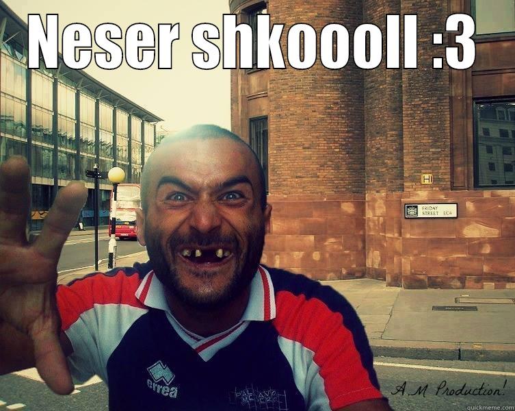 NESER SHKOOOLL :3  Misc