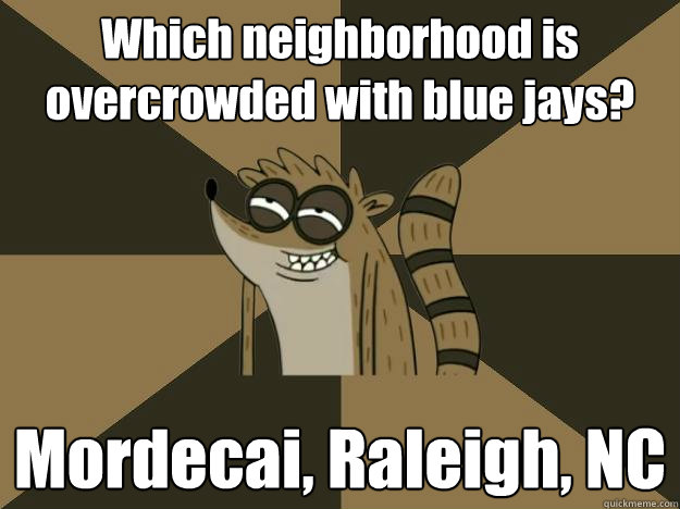Which neighborhood is overcrowded with blue jays? Mordecai, Raleigh, NC  