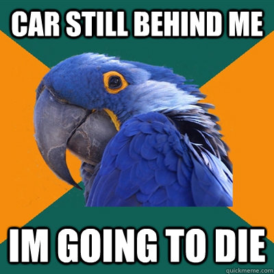 car still behind me im going to die  Paranoid Parrot