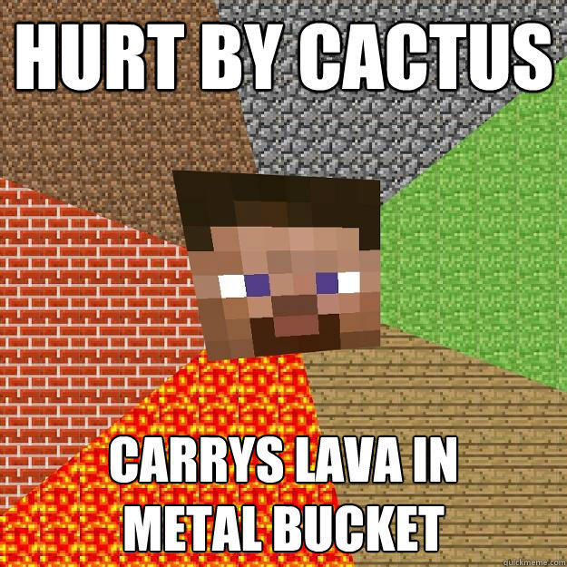 HURT BY CACTUS CARRYS LAVA IN 
METAL BUCKET  Minecraft