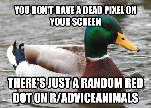 YOU DON'T HAVE A DEAD PIXEL ON YOUR SCREEN THERE'S JUST A RANDOM RED DOT ON R/ADVICEANIMALS  Actual Advice Mallard