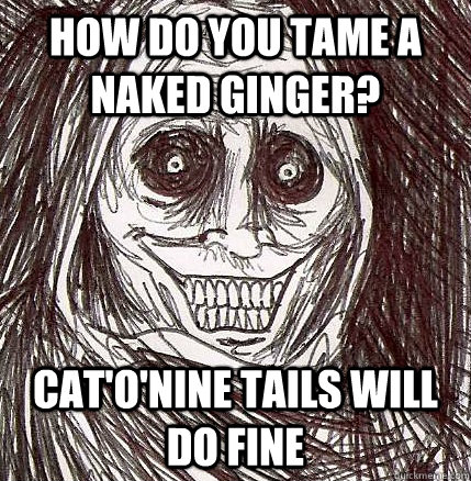 how do you tame a naked ginger? cat'o'nine tails will do fine  Horrifying Houseguest