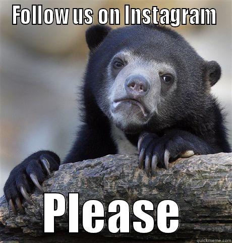 FOLLOW US ON INSTAGRAM PLEASE Confession Bear