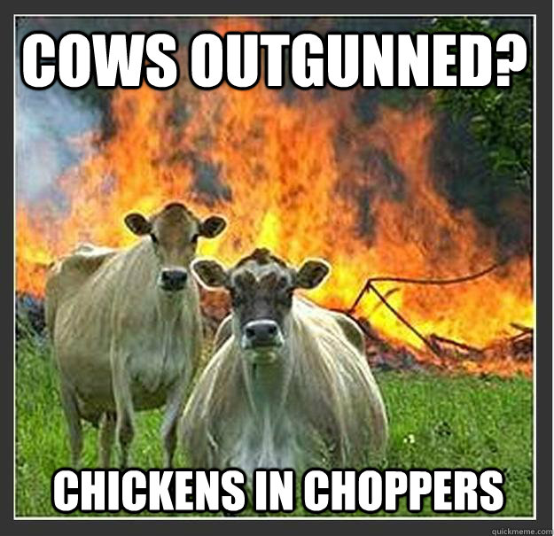 Cows outgunned? Chickens in choppers  Evil cows