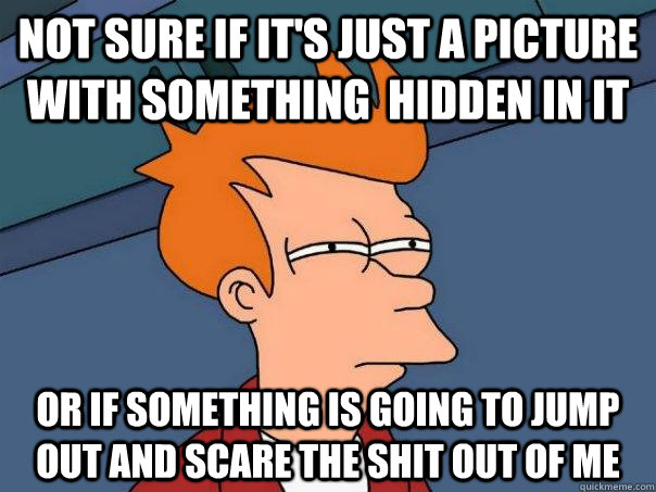 NOT SURE IF It's just a picture with something  hidden in it OR IF something is going to jump out and scare the shit out of me  Futurama Fry