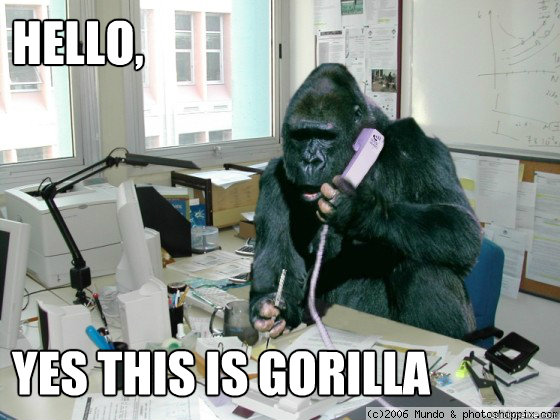 Hello, 




yes this is gorilla  