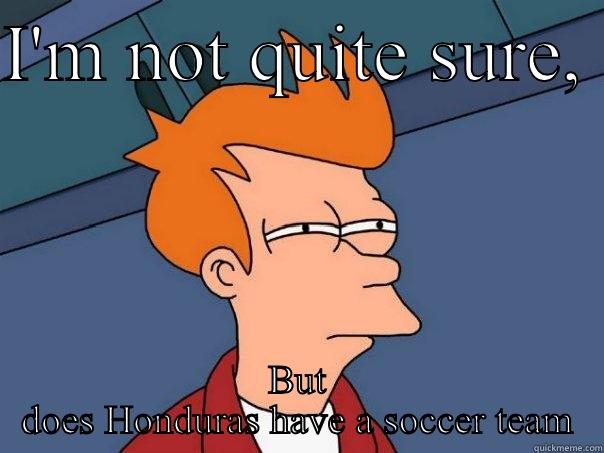 I'M NOT QUITE SURE,  BUT DOES HONDURAS HAVE A SOCCER TEAM Futurama Fry